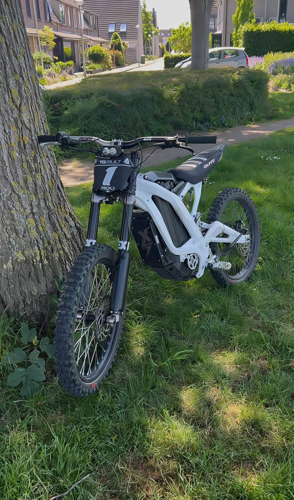 E-bike met Emoto Planet decal